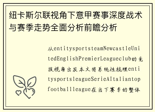 纽卡斯尔联视角下意甲赛事深度战术与赛季走势全面分析前瞻分析